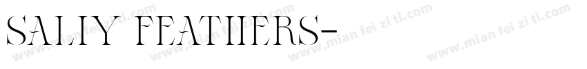 saliy feathers字体转换
